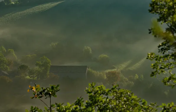 Picture roof, rays, trees, fog, house, morning, slope