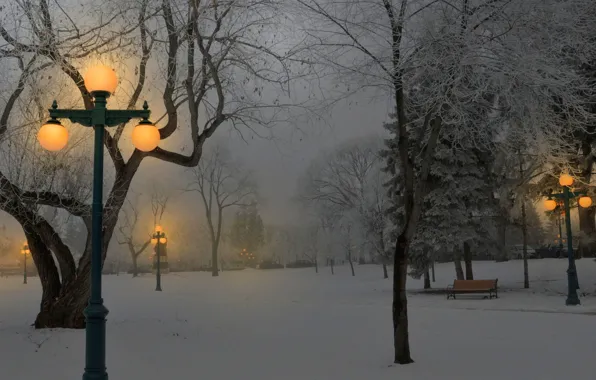Picture light, snow, Park, Winter, lights, benches