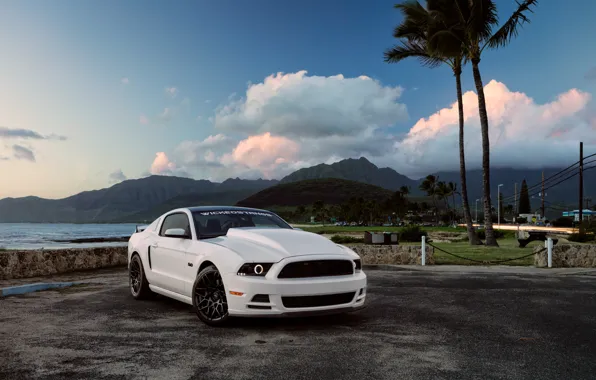 Picture Mustang, Ford, Muscle, Car, Hawaii, Front, 5.0, White