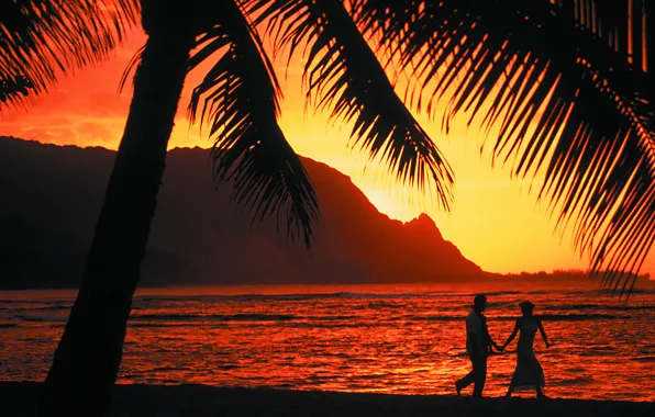 Picture sunset, palm trees, the ocean, romance, the evening, two