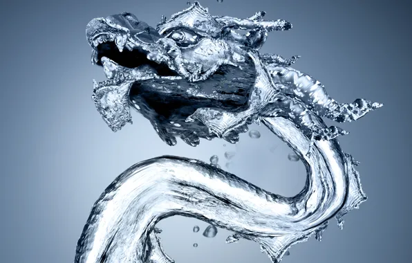 Picture water, drops, dragon