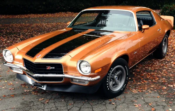Picture leaves, orange, background, coupe, Chevrolet, Camaro, Chevrolet, 1971, Camaro, the front, Muscle car, Muscle car, …
