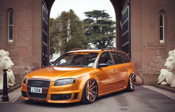 Picture audi, gold, quattro, tuning, orange, germany, low, stance, rs4