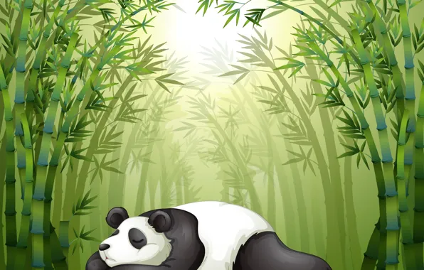 Picture stay, sleep, Panda, weed, the bamboo trees
