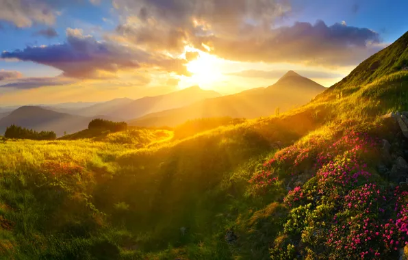 Picture Sunset, Clouds, Mountains, Grass, Rays, Landscape
