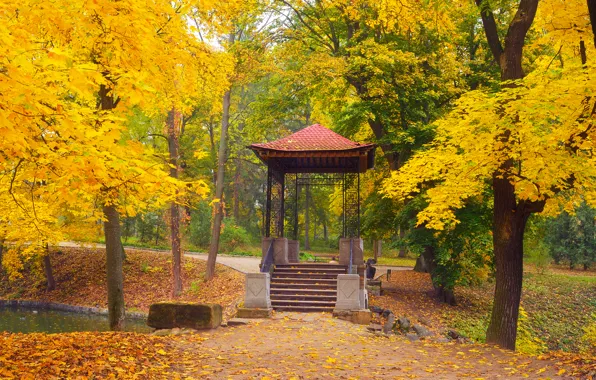 Picture autumn, leaves, trees, Park, gazebo