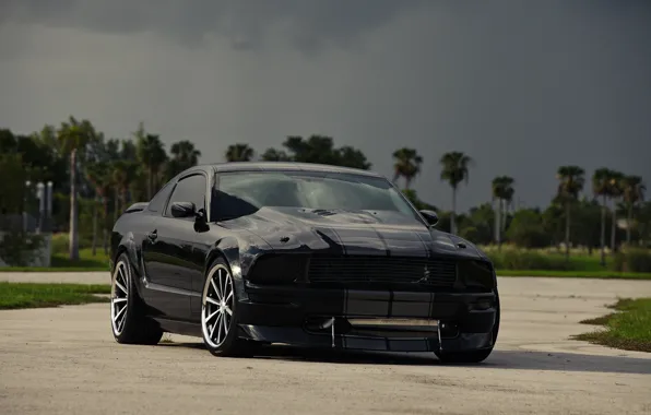 Picture the sky, clouds, black, mustang, Mustang, ford, drives, black, Ford, front view, tinted
