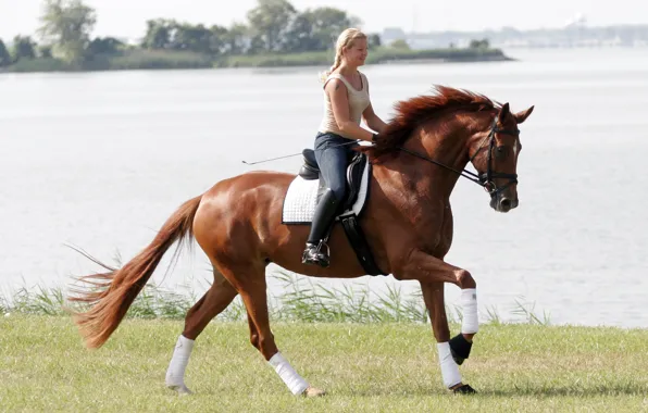 Picture girl, horse, sports