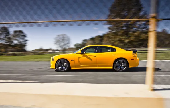 Picture Auto, Yellow, Dodge, Sedan, Dodge, SRT8, Charger, Super Bee, Side view, In motion