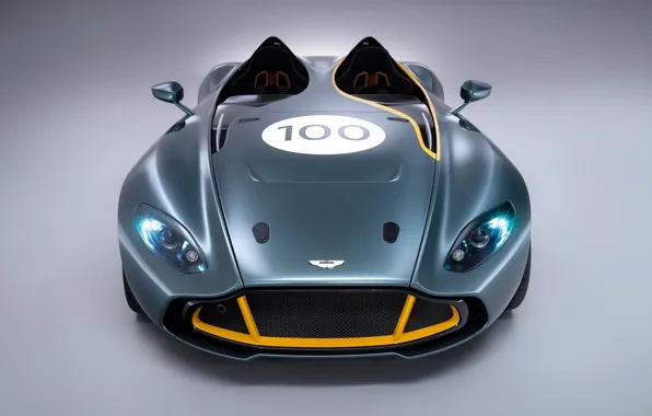 Picture Concept, Aston Martin, Speedster, CC100