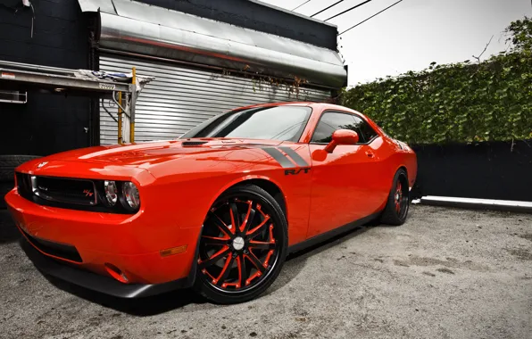 Picture Tuning, Dodge, Challenger