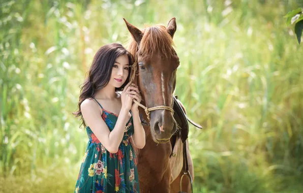 Picture summer, face, background, horse, Asian