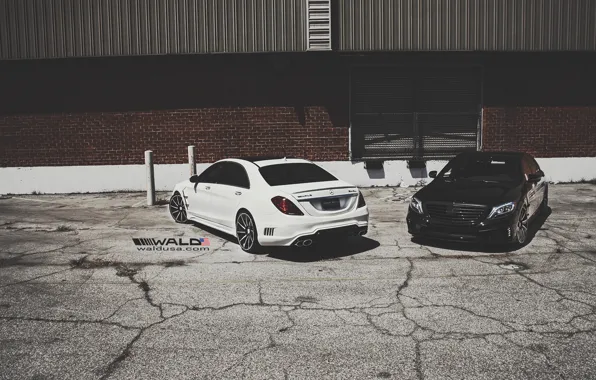 Picture TUNING, WALD, MERCEDES, BENZ, BLACK BISON, W222, S-CLASS
