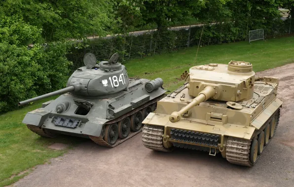 Picture Tiger, The fence, Trees, Technique, T-34, Tanks, Military