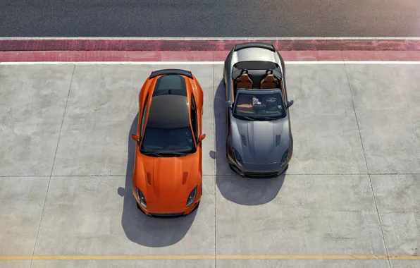 Picture Jaguar, Auto, Convertible, Grey, Orange, Convertible, 2016, F-Type SVR