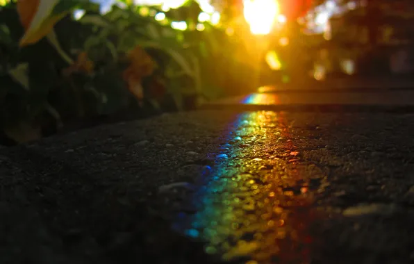 Picture asphalt, the sun, light, rainbow, MissCaptianObvious =) (deviantart)