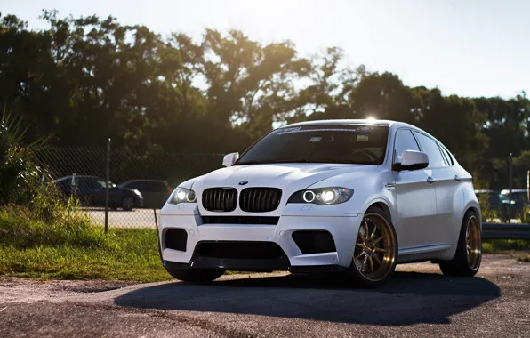 Picture white, trees, bmw, BMW, shadow, white, crossover, x6m, e71