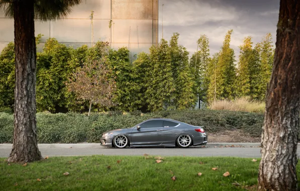 Picture profile, Honda, silver, Honda, coupe, accord, chord, stance