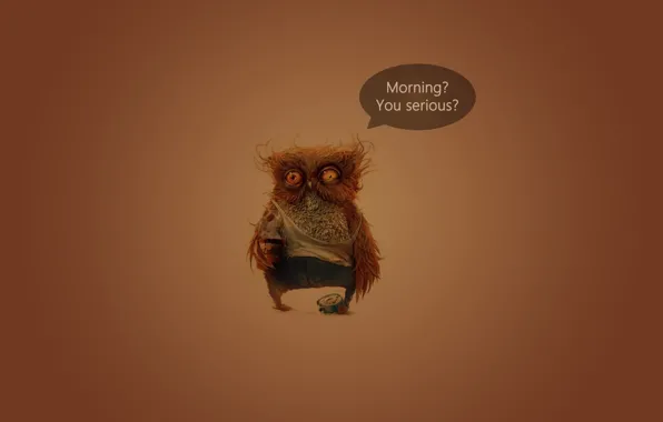 Picture owl, coffee, morning, morning, serious, seriously