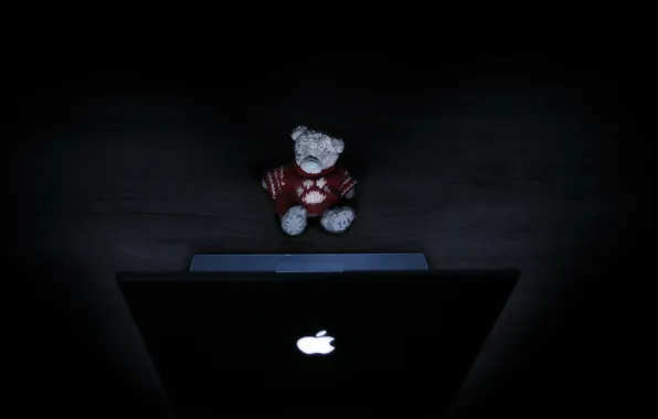 Picture light, toy, bear, laptop