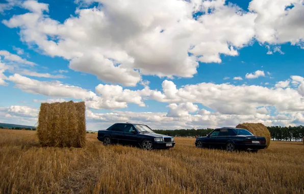 Picture field, nature, stack, village, mercedes, mercedes-benz, Mercedes, gelding, Mercedes, benz, 190, w201, 190e