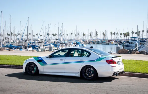 Picture white, the sky, lawn, bmw, BMW, yachts, pier, white, rear view, f10