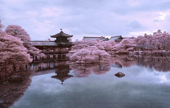 Picture pond, reflection, Japan, Sakura, Kyoto