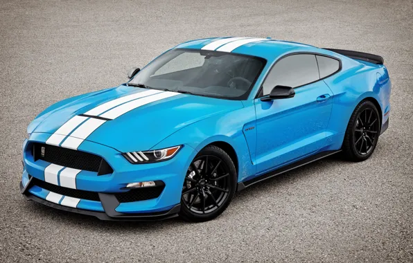 Picture Mustang, Ford, Shelby, Mustang, Ford, Shelby, GT350R
