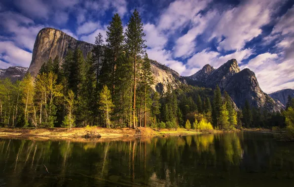 Picture trees, mountains, nature, river, morning, CA, Yosemite, California, Yosemite National Park