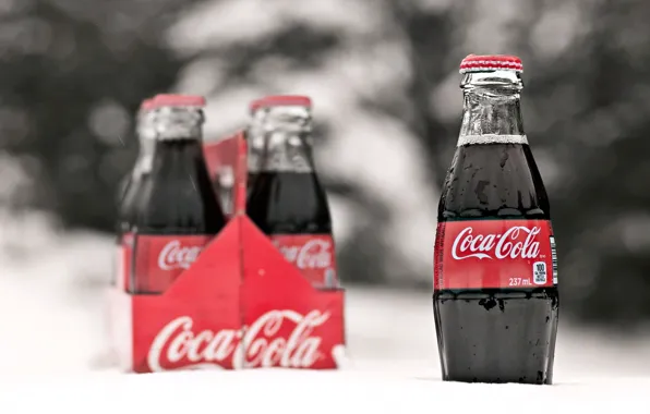 Picture bottle, drink, Coca Cola