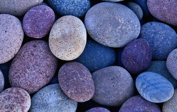 Picture purple, blue, pebbles, stones