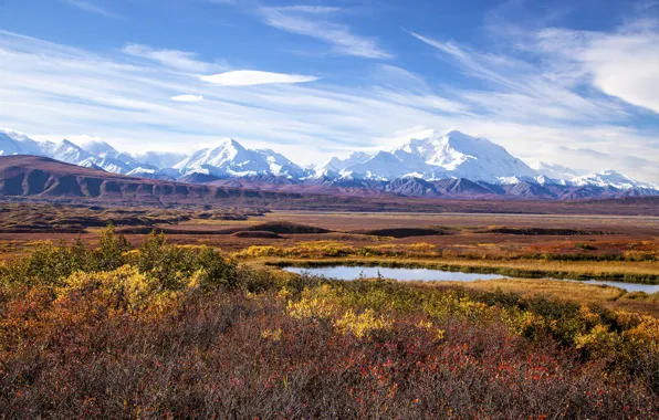 Picture Alaska, mount McKinley, Denali national Park