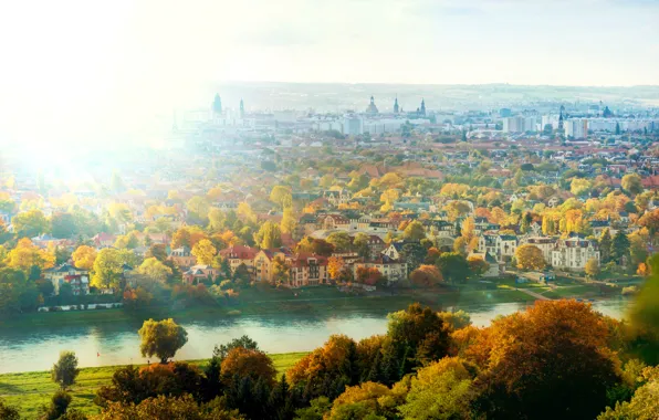 Picture autumn, the sun, light, trees, the city, river, home, Germany, Dresden, Elba, Germany, Dresden, Germany