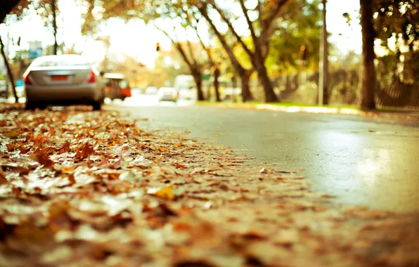 Picture road, autumn, asphalt, the city, foliage, blur, highway, effect, yellow, cars, landing