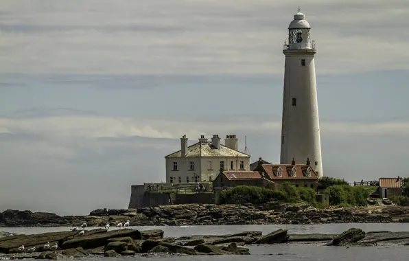 Picture lighthouse, England, England, United Kingdom, Seaton Sluice, Saint Mary's Lighthouse, Hartley beach