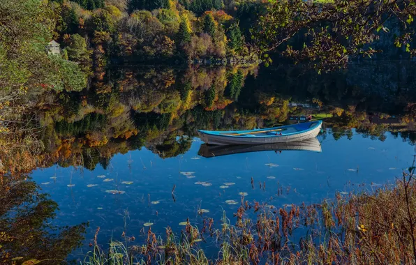 Picture forest, lake, reflection, boat, Norway, Norway, Hordaland, Saeterstolen, Hordaland