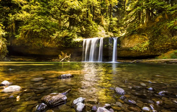 Picture forest, trees, stream, stones, waterfall, USA, Sunny, Oregon, Butte Creek Falls