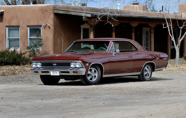 Picture coupe, Chevrolet, Chevrolet, Coupe, 1966, Chevelle, Hardtop, SS 396, Chevelle