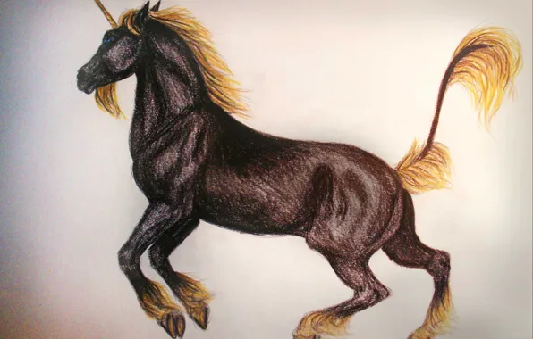 Picture horse, figure, unicorn