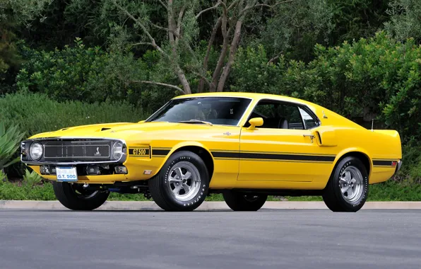 Picture Shelby, GT500, 1969
