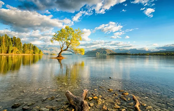 Picture the sky, clouds, lake, tree, New Zealand, South island, Wanaka