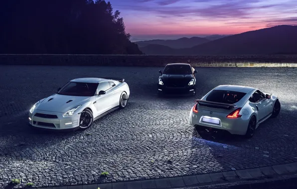 Picture GTR, Moon, Nissan, Sky, Front, Black, Mountain, Lights, White, R35, 370Z, Rear, Nigth