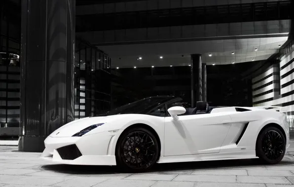 Picture speed, Lamborghini, Machine, zwei white