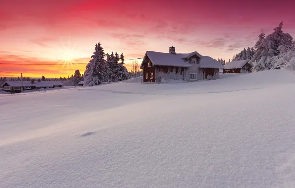Picture winter, the sun, snow, landscape, nature, house, dawn, beauty, Norway, Lillehammer