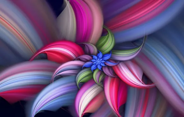 Picture flower, line, paint, spiral, petals, the volume