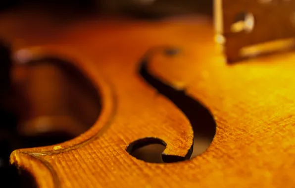 Picture macro, violin, cello, DECA