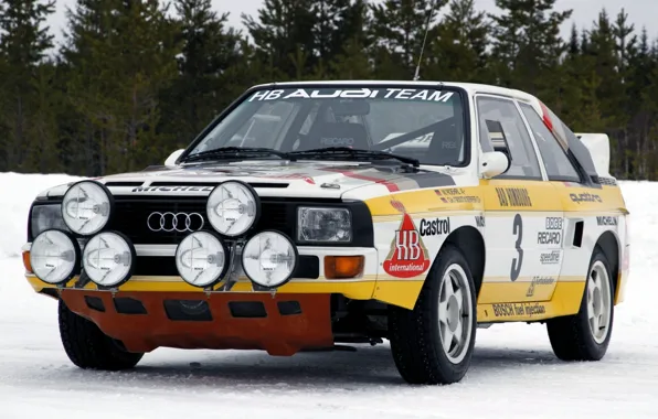 Picture forest, Audi, lights, Audi, sport, quattro, rally, the front, group B, Group B, rally car, …