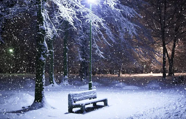 Picture winter, bench, nature, the snow, it's snowing