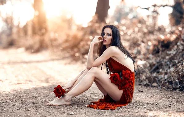 Picture road, girl, roses, dress, legs, Alessandro Di Cicco