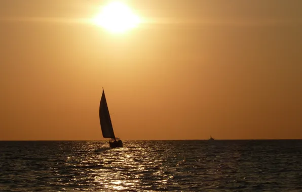 Picture sea, the sun, the evening, sail